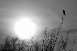 The World In Black And White 6" x 4" Photo Print