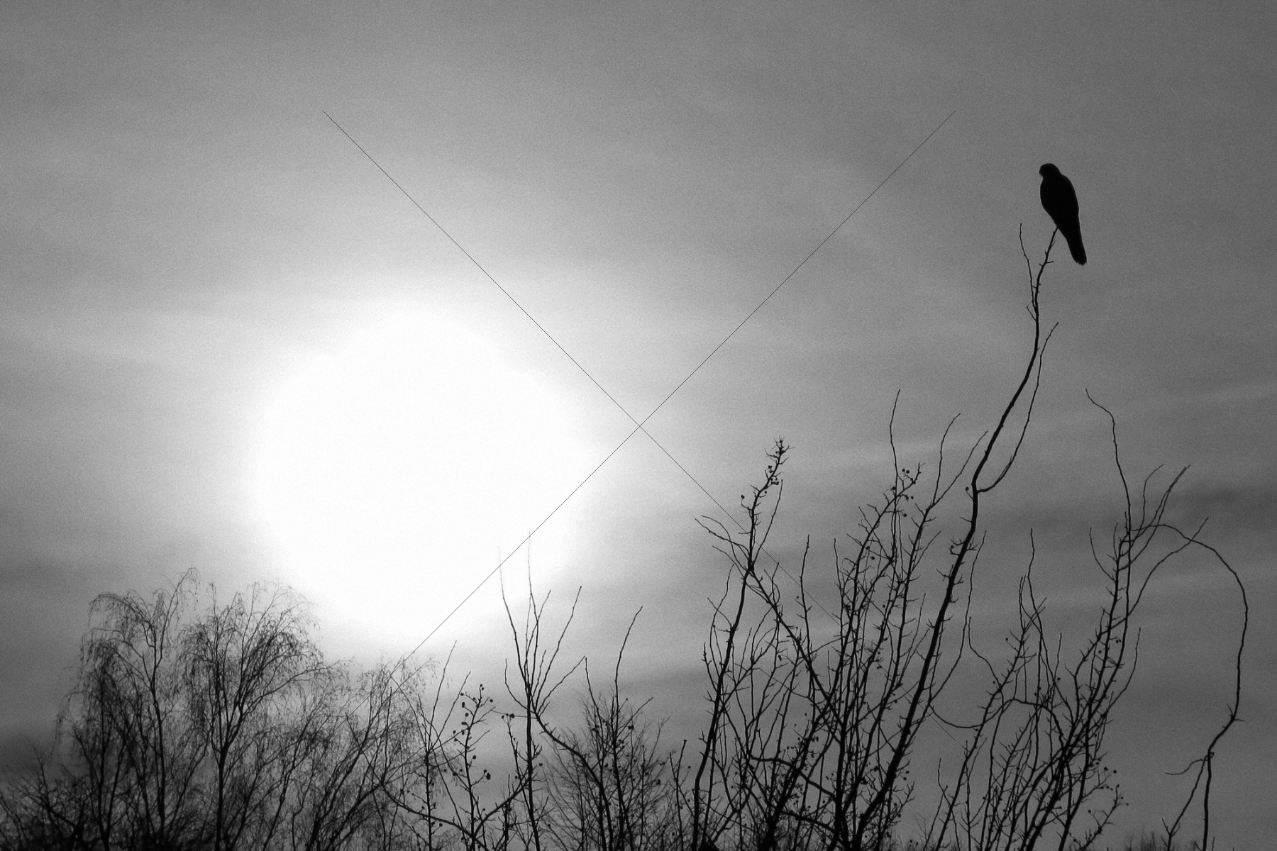 The World In Black And White 6" x 4" Photo Print