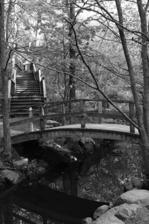 The World In Black And White 6" x 4" Photo Print