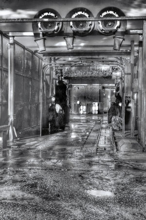 The World In Black And White 6" x 4" Photo Print