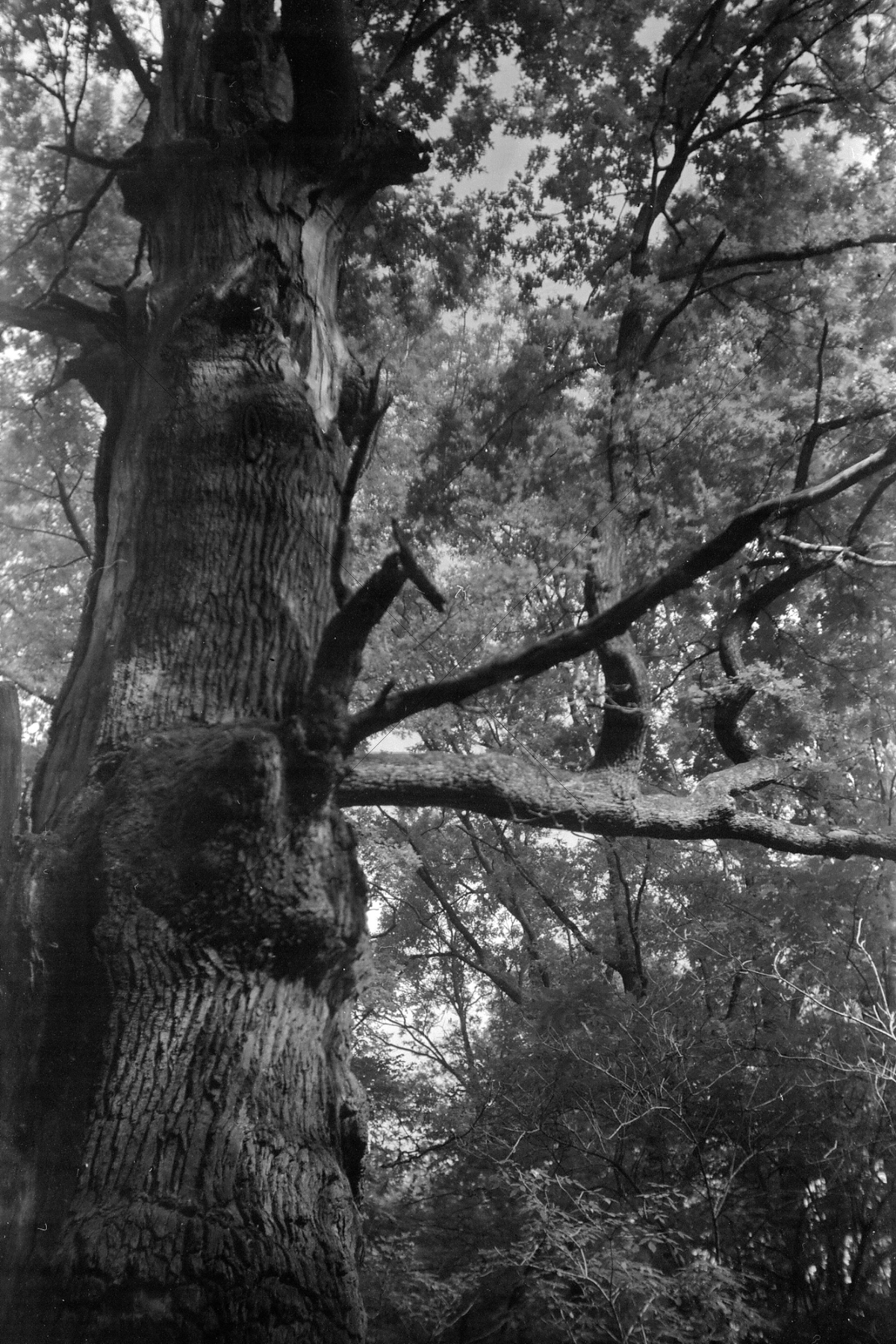 The World In Black And White 6" x 4" Photo Print