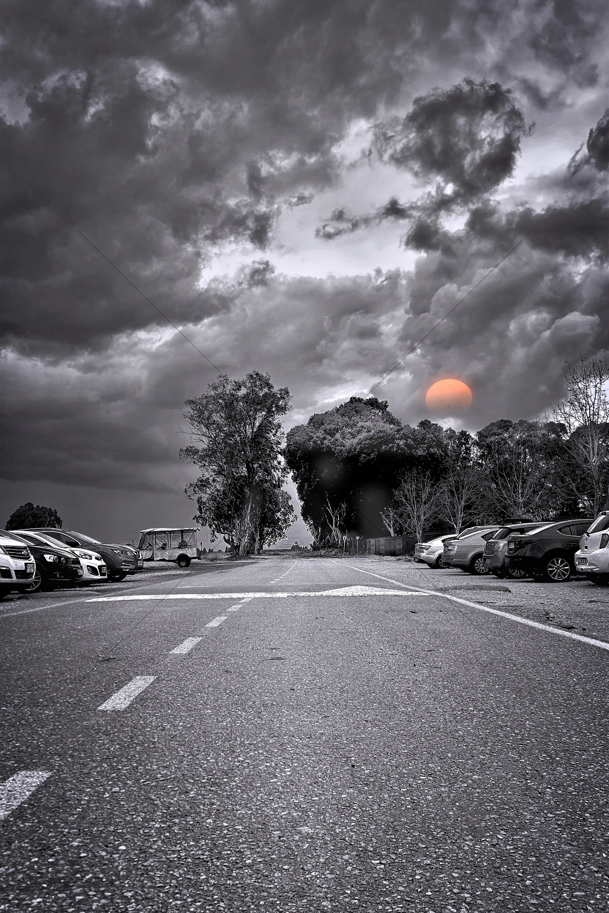 The World In Black And White 6" x 4" Photo Print