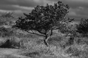 The World In Black And White 6" x 4" Photo Print