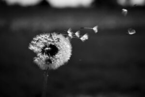The World In Black And White 6" x 4" Photo Print