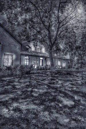 The World In Black And White 6" x 4" Photo Print