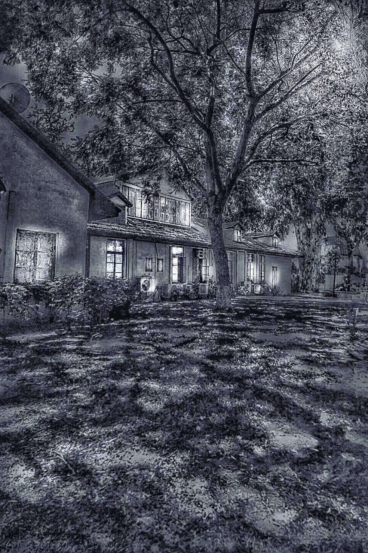 The World In Black And White 6" x 4" Photo Print