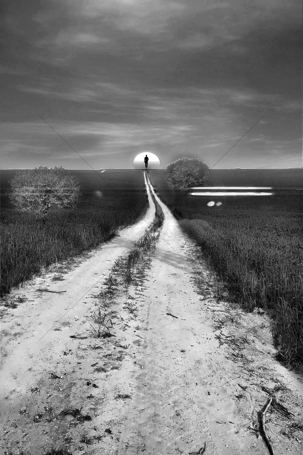 The World In Black And White 6" x 4" Photo Print