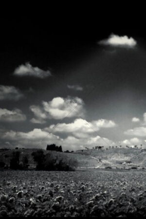 The World In Black And White 6" x 4" Photo Print