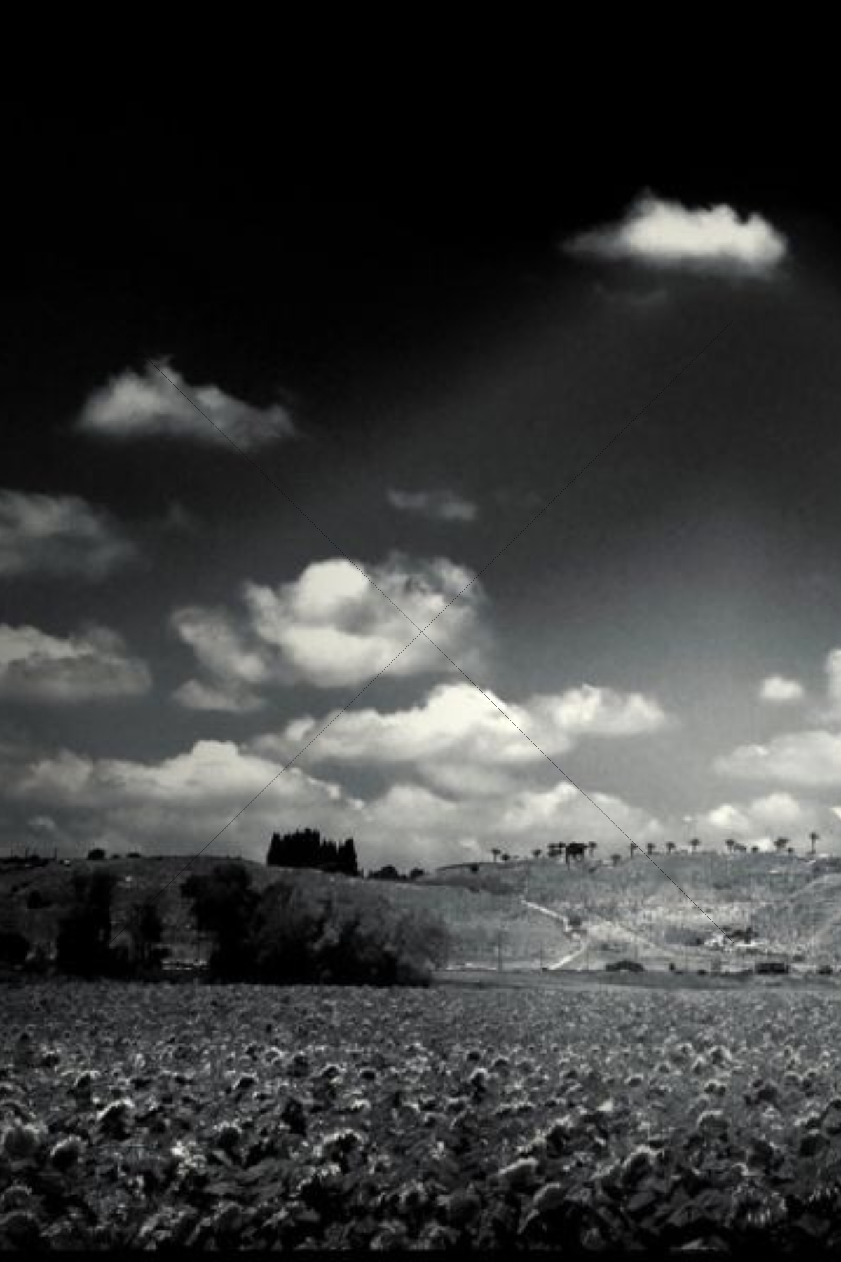 The World In Black And White 6" x 4" Photo Print