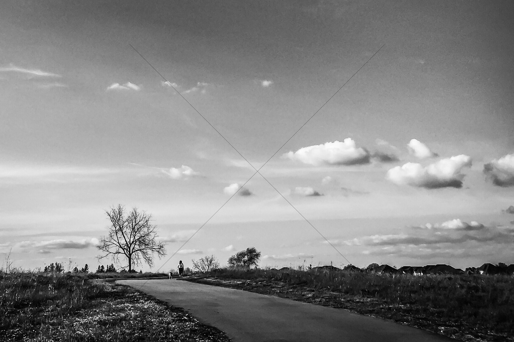 The World In Black And White 6" x 4" Photo Print