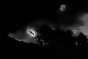 The World In Black And White 6" x 4" Photo Print