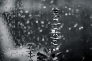 The World In Black And White 6" x 4" Photo Print