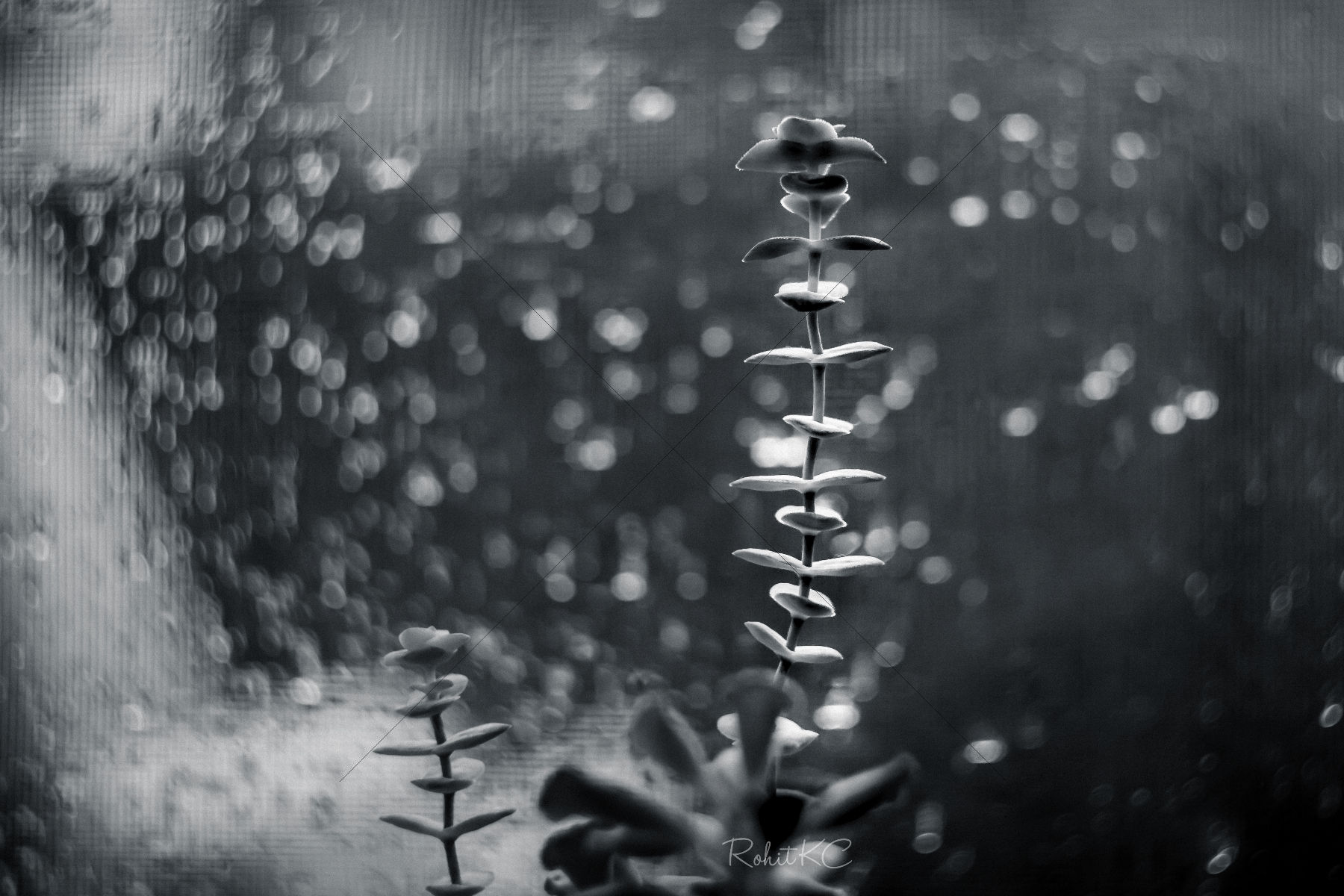 The World In Black And White 6" x 4" Photo Print