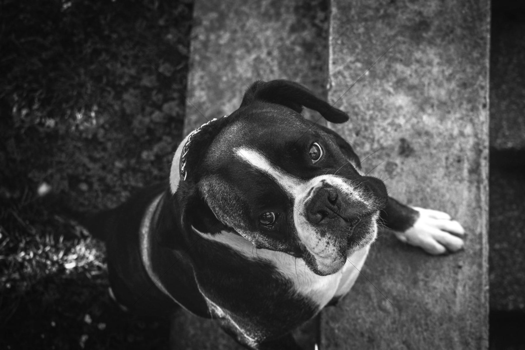 The World In Black And White 6" x 4" Photo Print