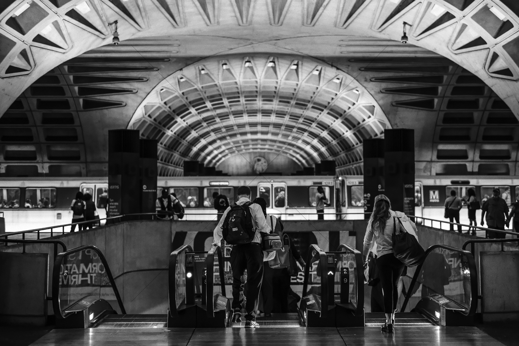 The World In Black And White 6" x 4" Photo Print