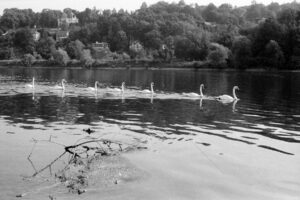 The World In Black And White 6" x 4" Photo Print