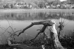 The World In Black And White 6" x 4" Photo Print