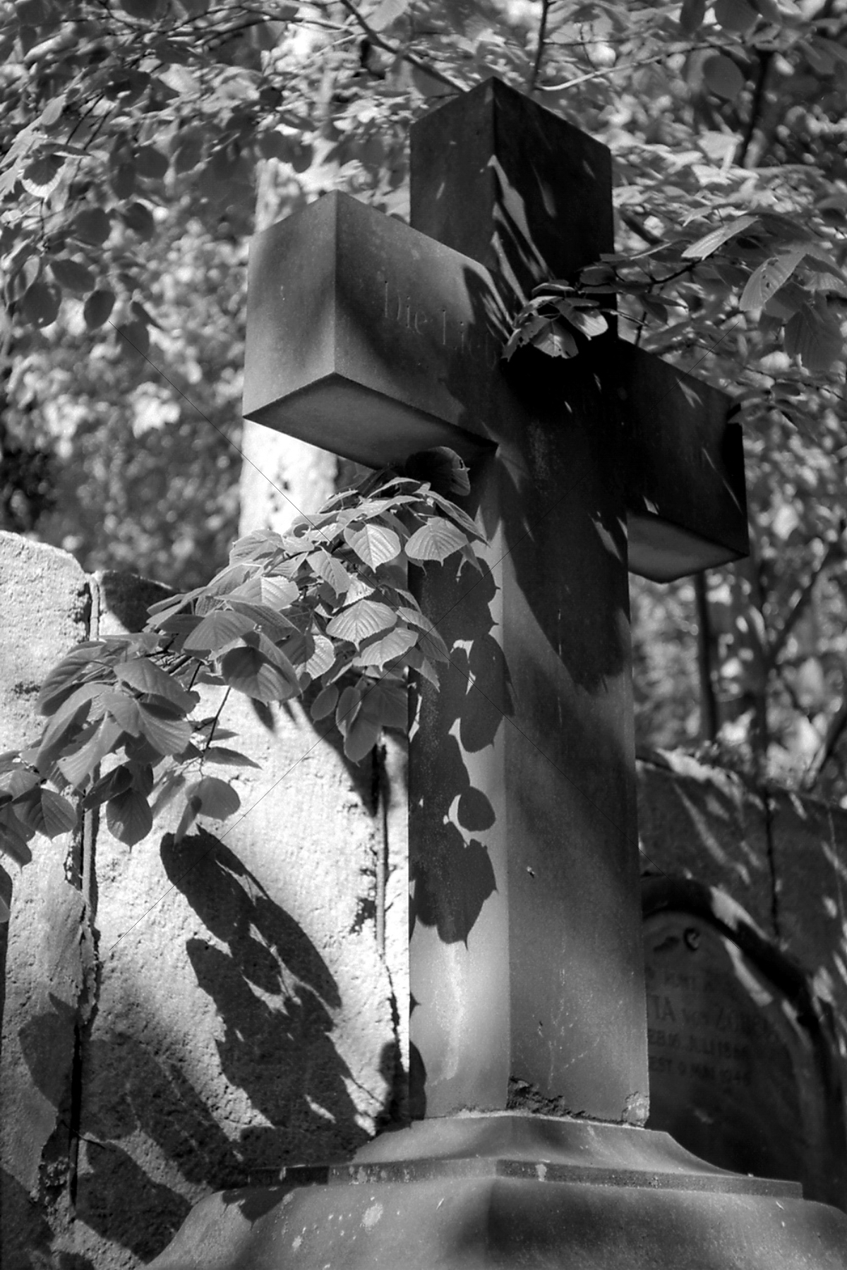 The World In Black And White 6" x 4" Photo Print