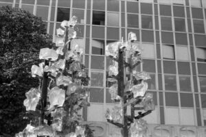 The World In Black And White 6" x 4" Photo Print