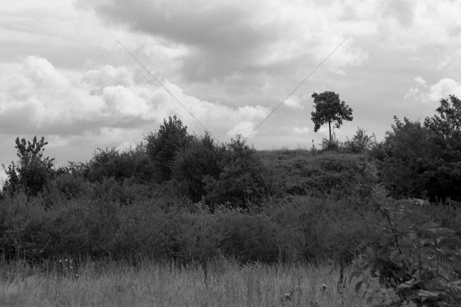 The World In Black And White 6" x 4" Photo Print