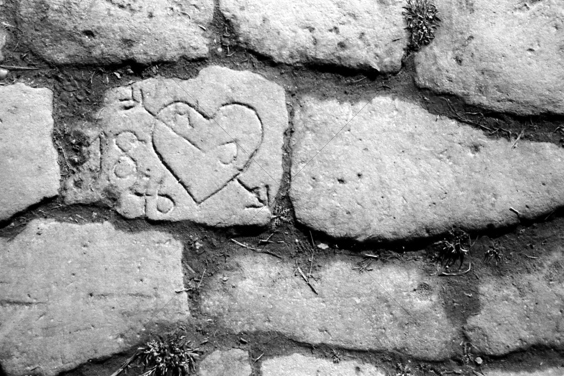 The World In Black And White 6" x 4" Photo Print