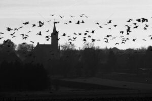 The World In Black And White 6" x 4" Photo Print