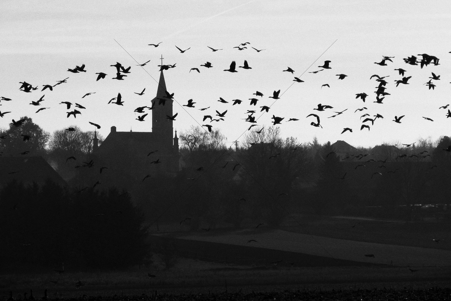 The World In Black And White 6" x 4" Photo Print