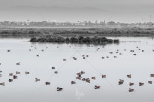 The World In Black And White 6" x 4" Photo Print