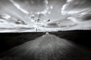 The World In Black And White 6" x 4" Photo Print