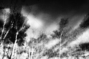 The World In Black And White 6" x 4" Photo Print