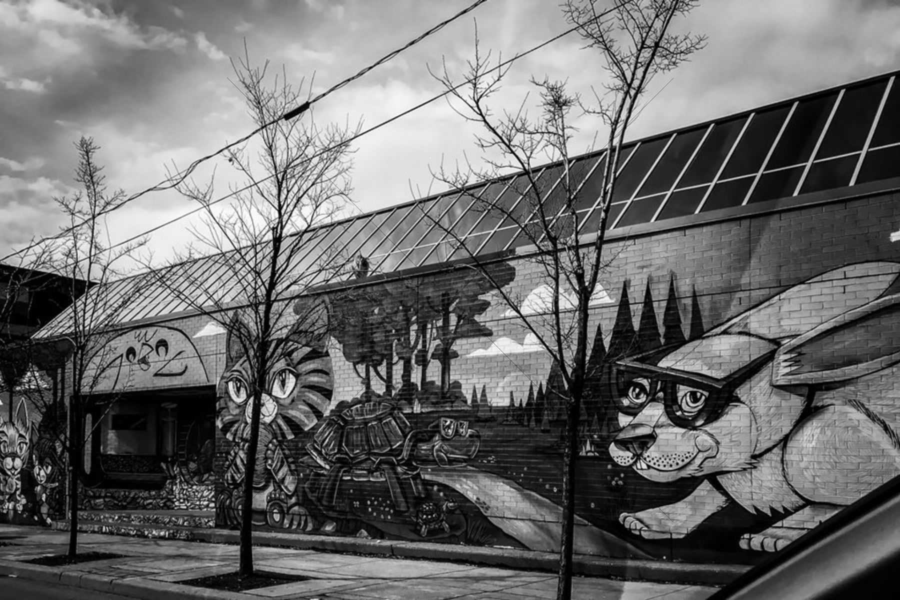 The World In Black And White 6" x 4" Photo Print