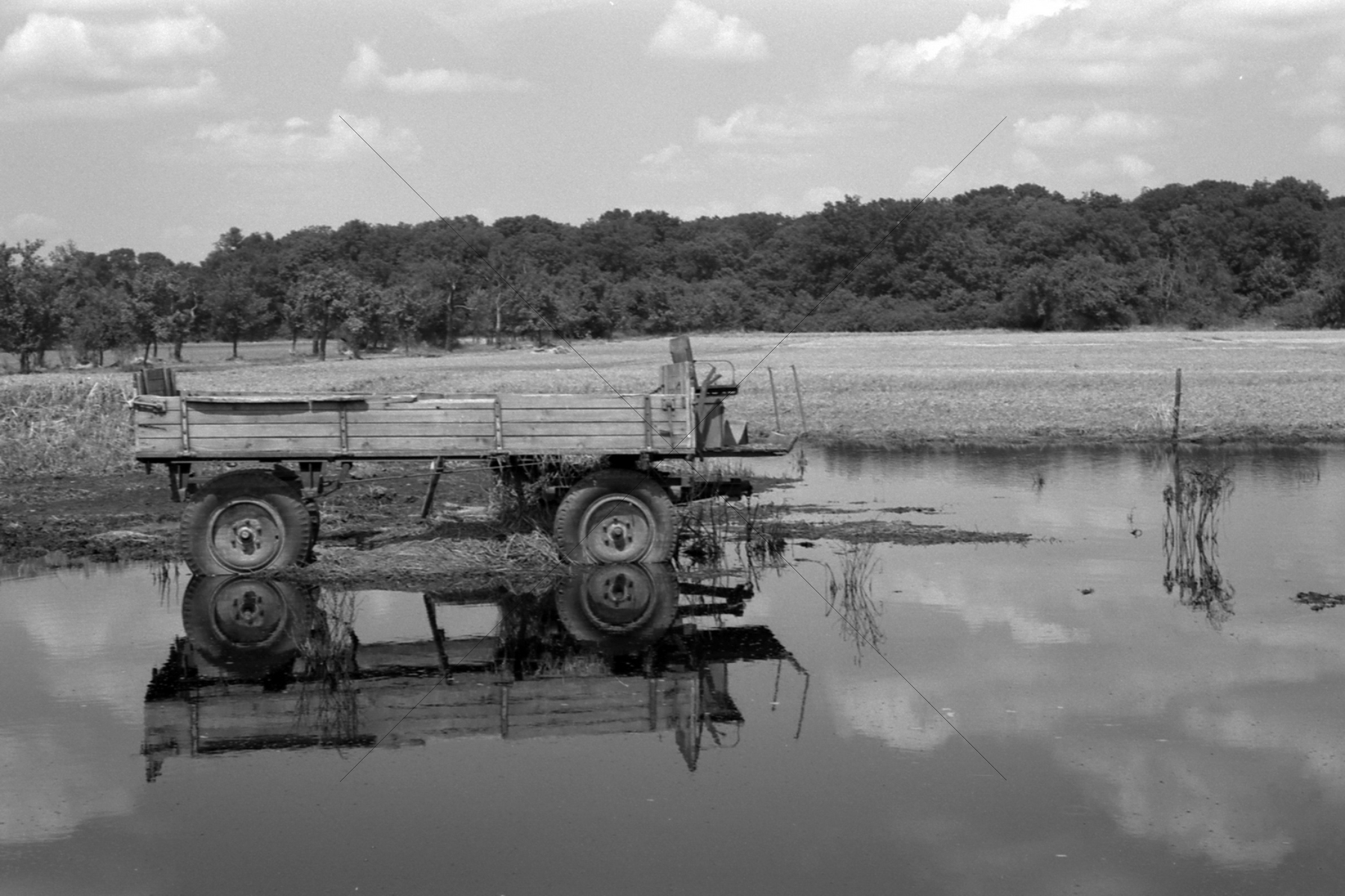The World In Black And White 6" x 4" Photo Print