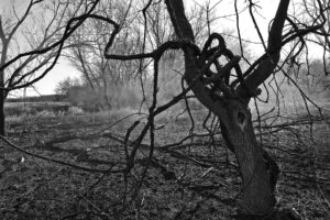 The World In Black And White 6" x 4" Photo Print