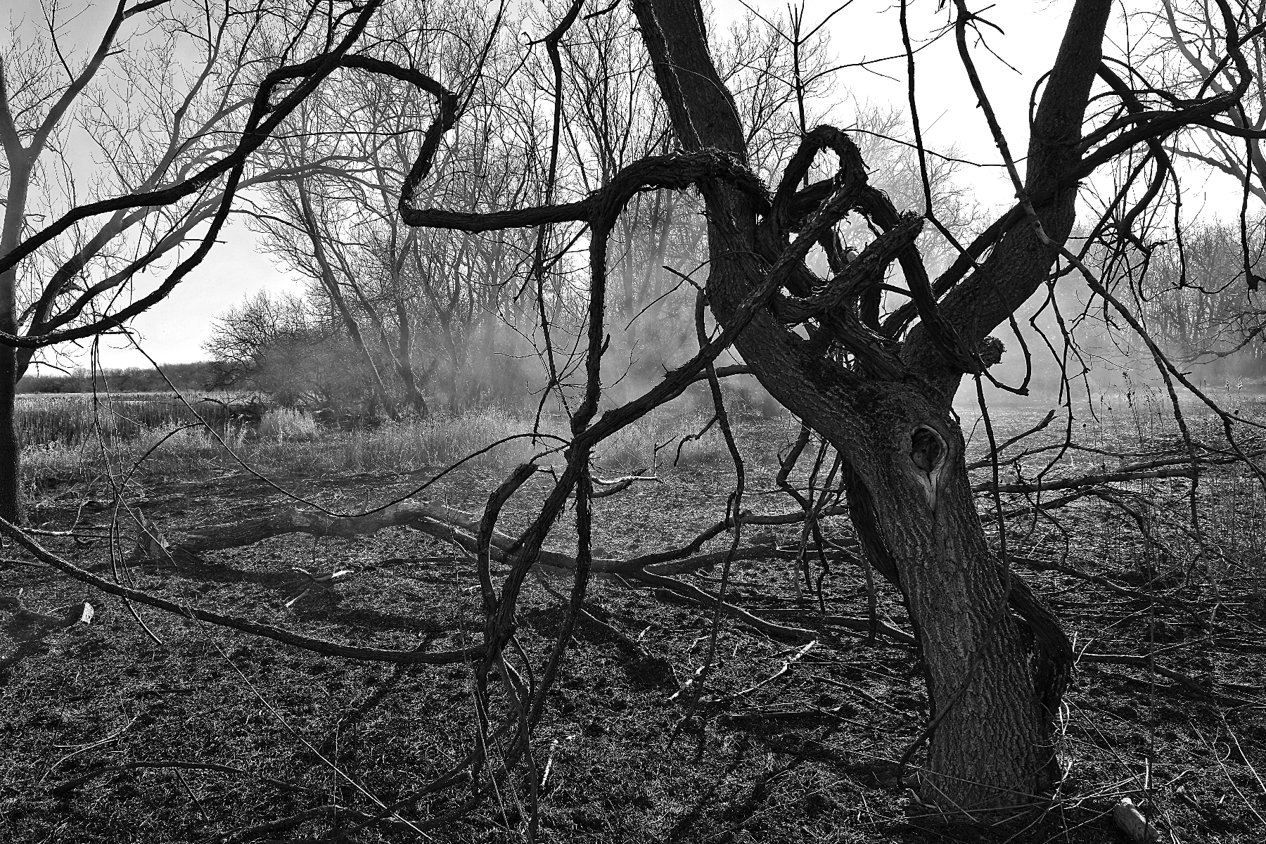 The World In Black And White 6" x 4" Photo Print