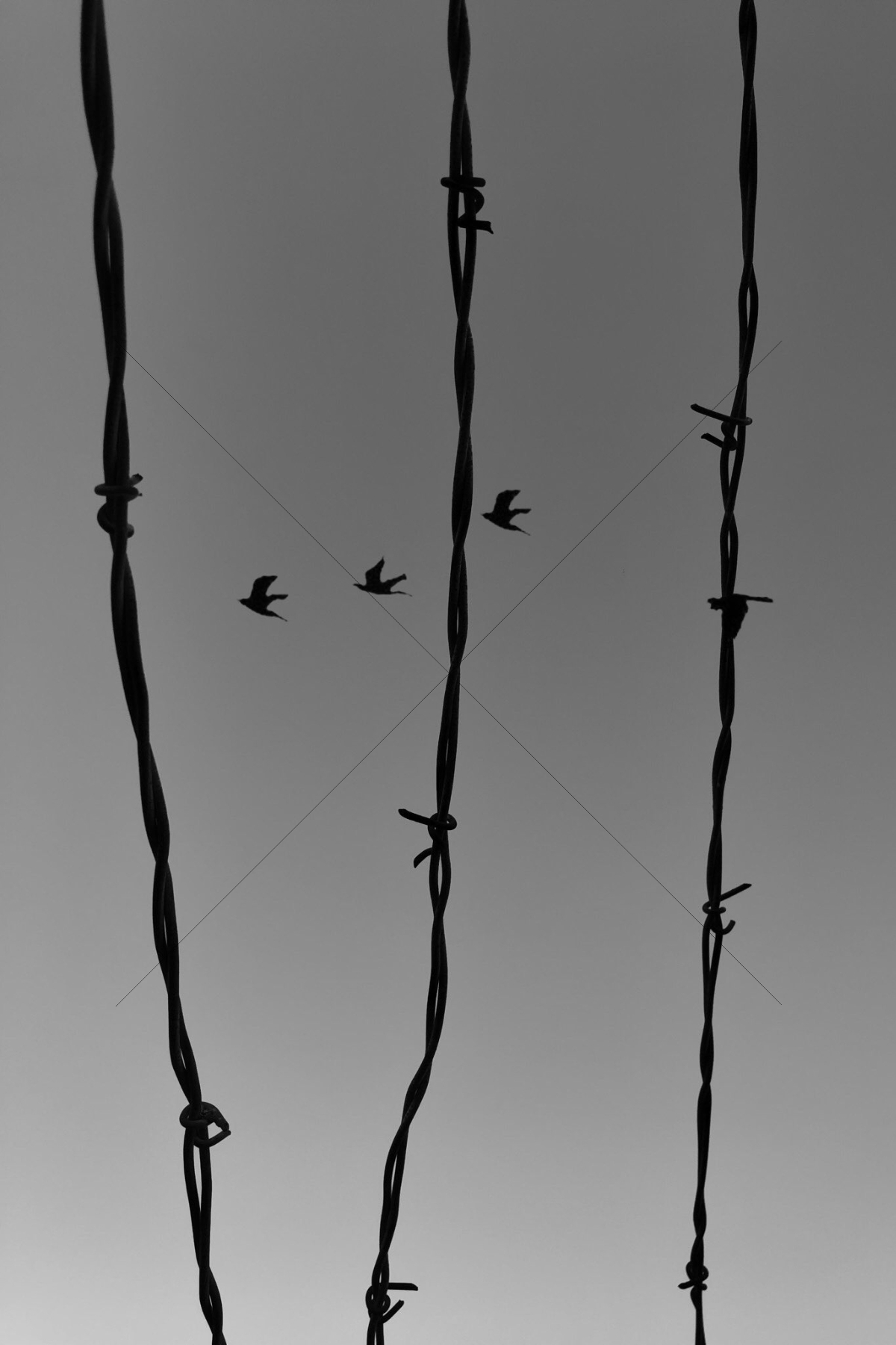 The World In Black And White 6" x 4" Photo Print