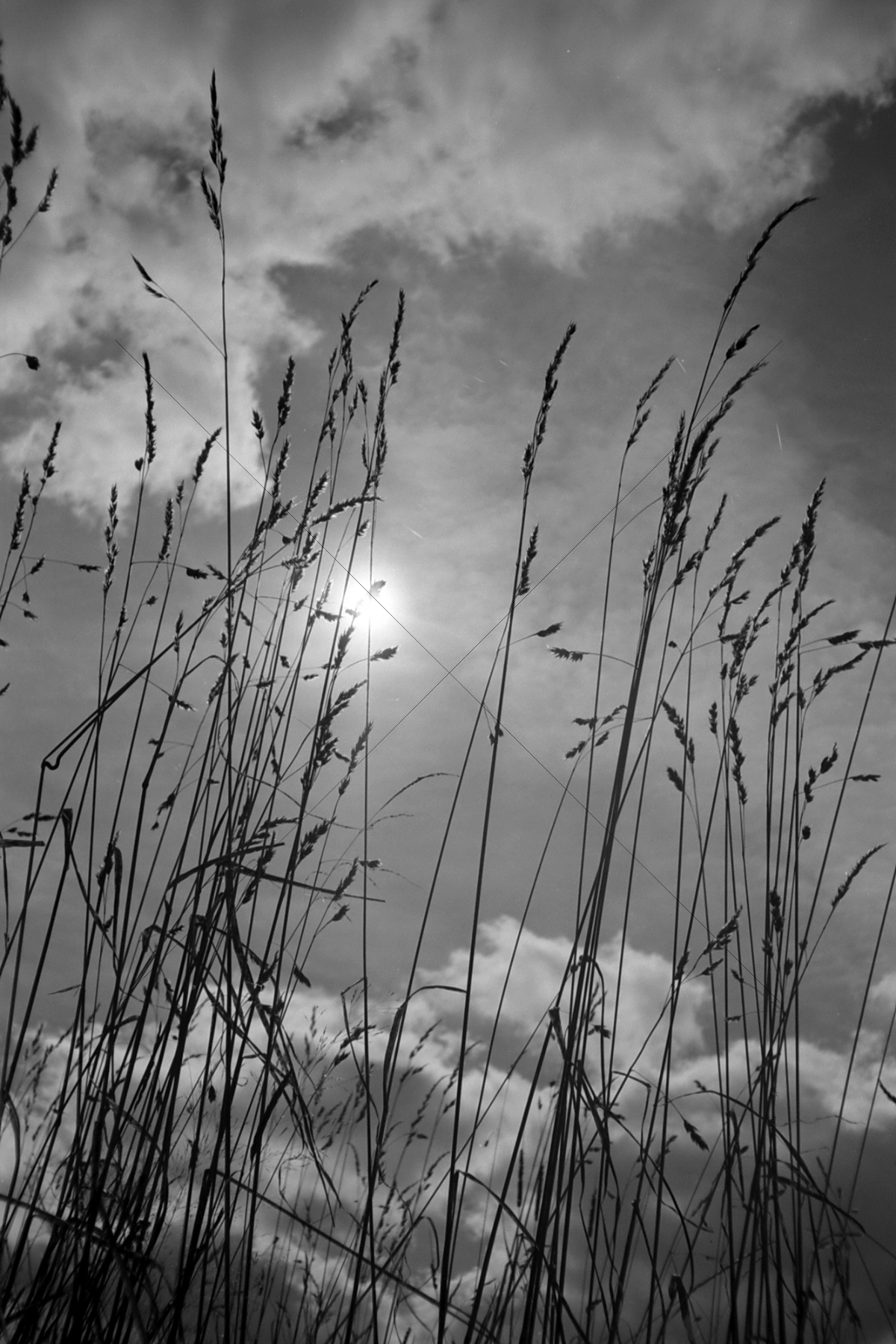 The World In Black And White 6" x 4" Photo Print