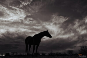 The World In Black And White 6" x 4" Photo Print