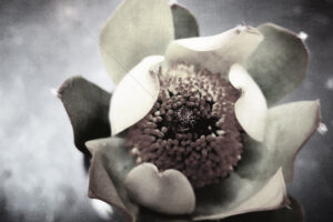 The World In Black And White 6" x 4" Photo Print