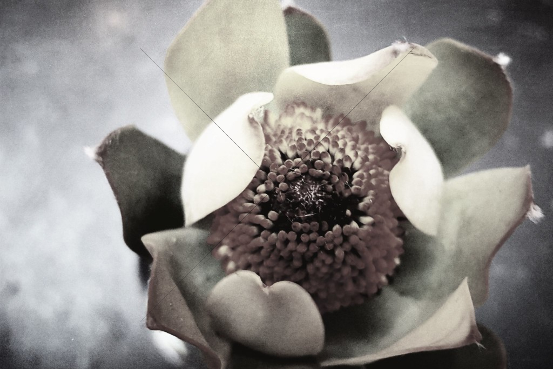 The World In Black And White 6" x 4" Photo Print