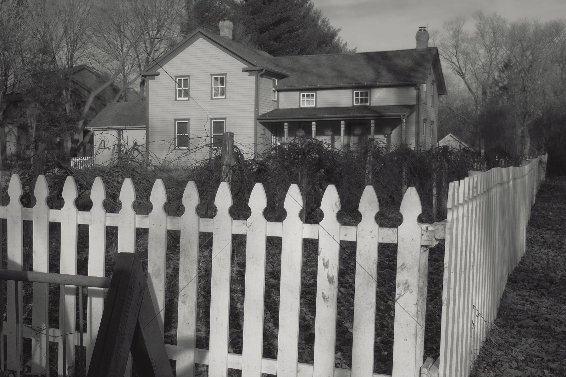 The World In Black And White 6" x 4" Photo Print