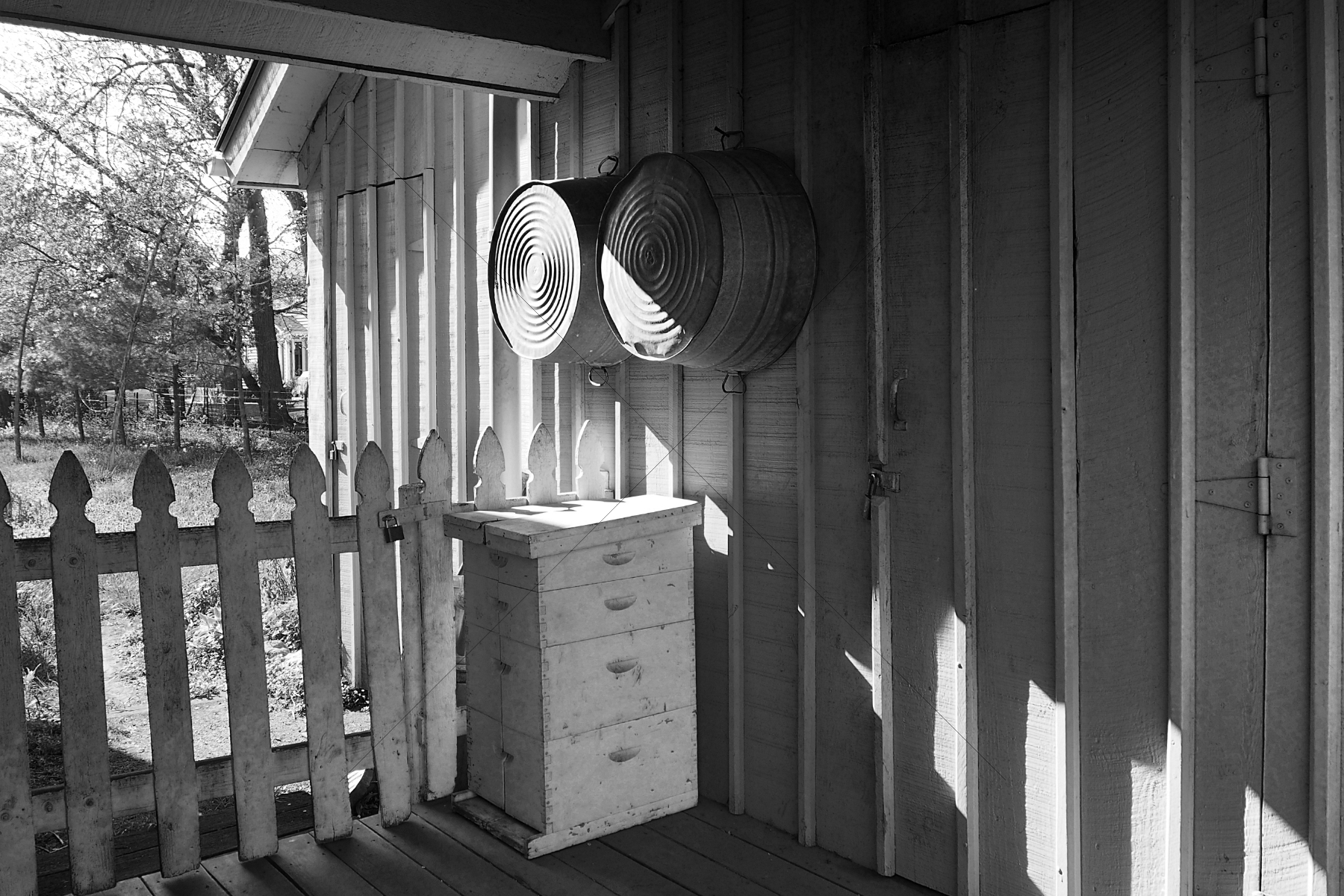 The World In Black And White 6" x 4" Photo Print