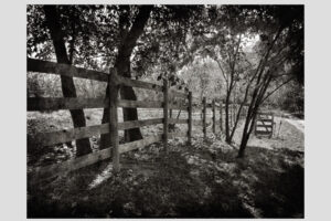 The World In Black And White 6" x 4" Photo Print