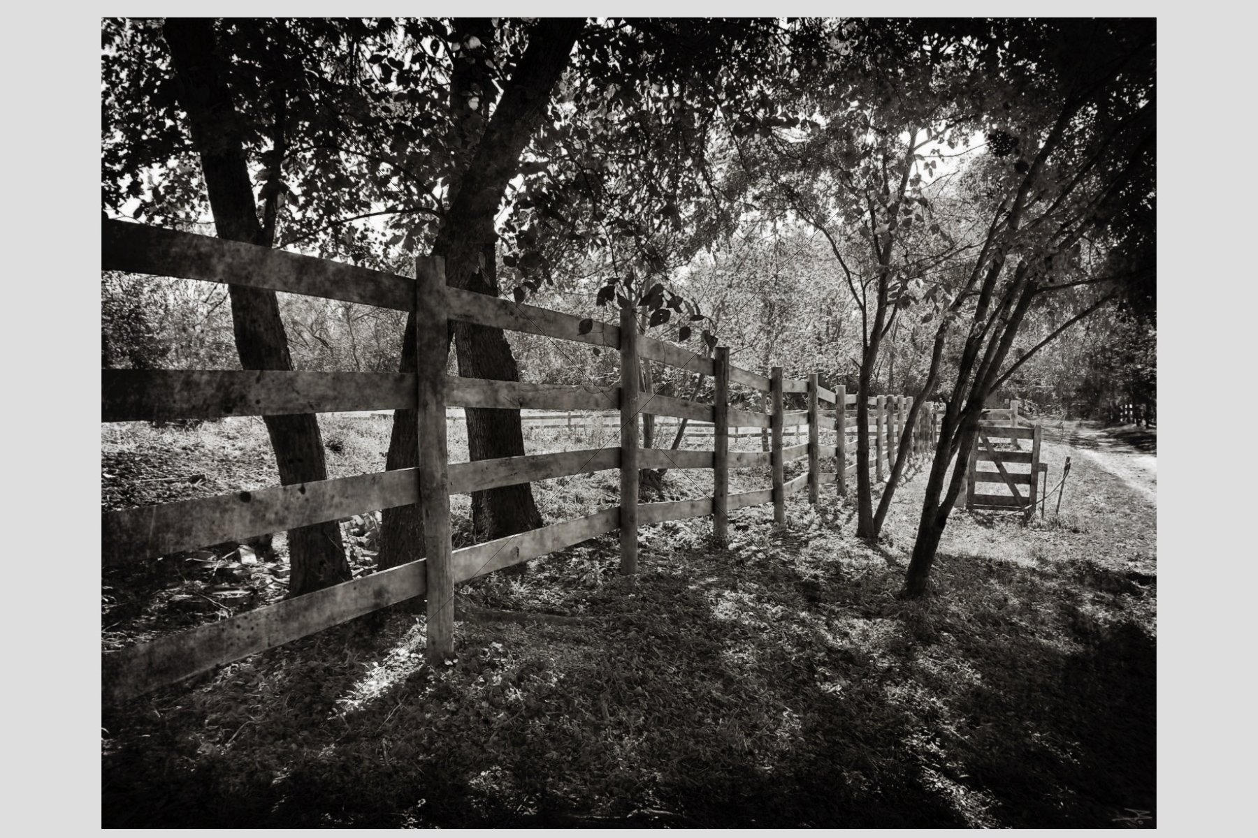 The World In Black And White 6" x 4" Photo Print