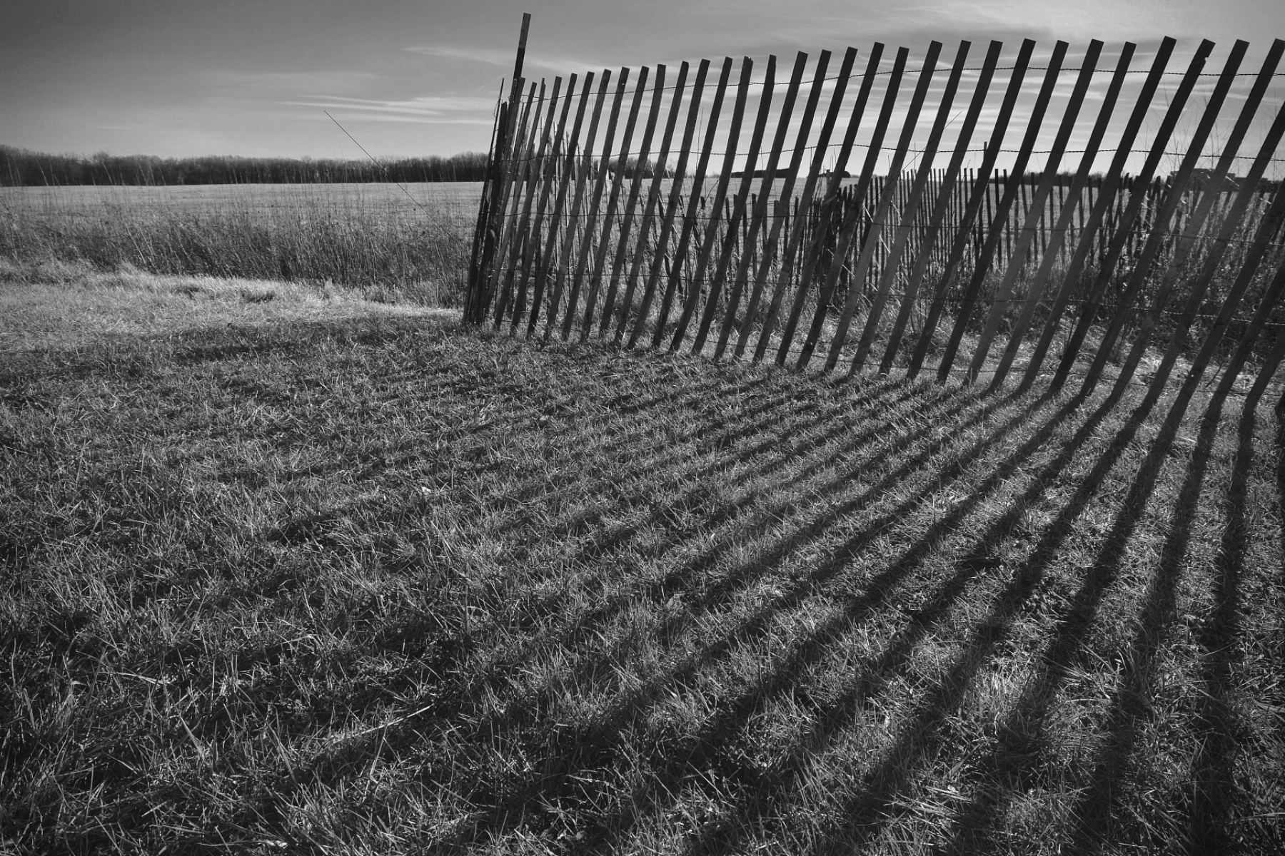 The World In Black And White 6" x 4" Photo Print