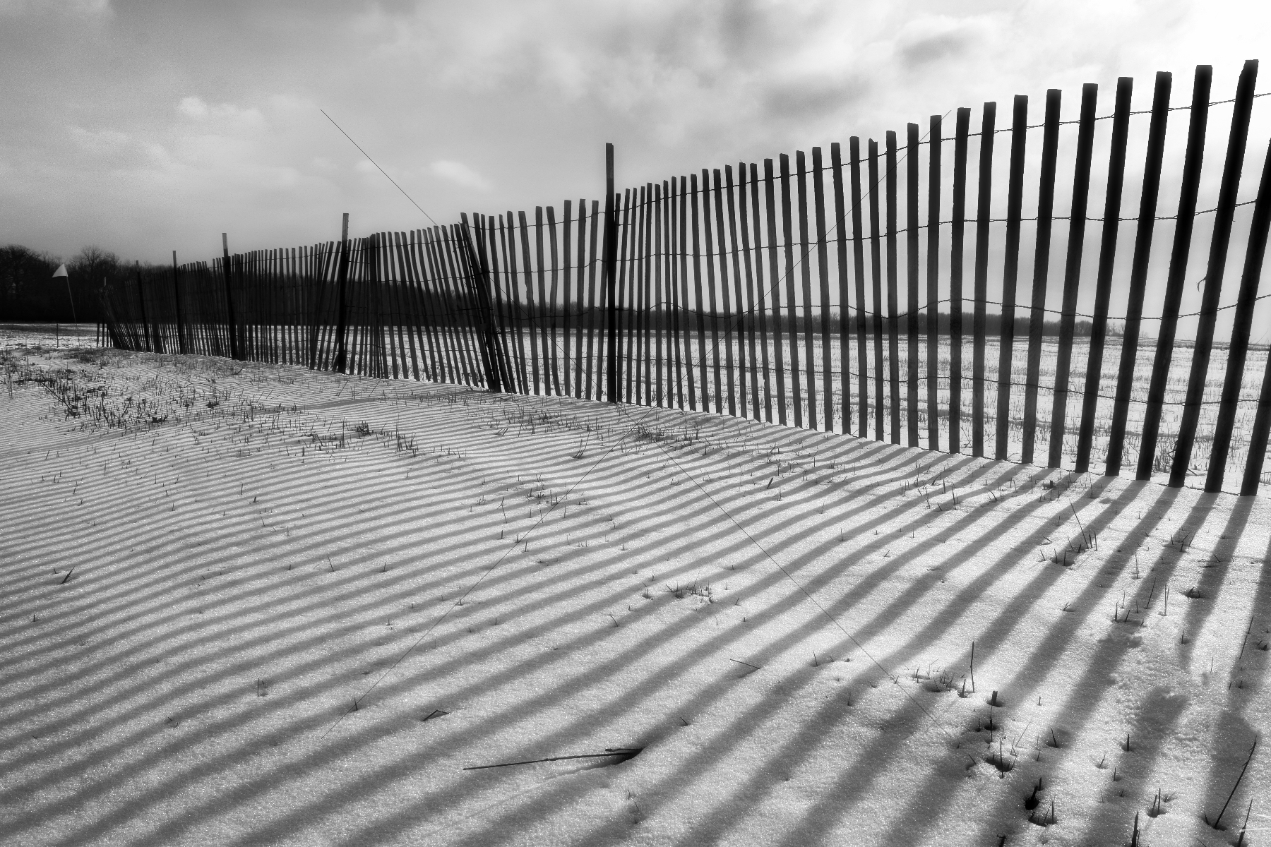 The World In Black And White 6" x 4" Photo Print