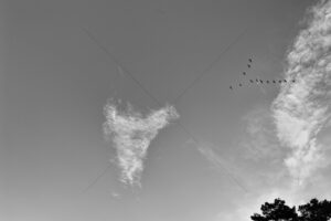 The World In Black And White 6" x 4" Photo Print