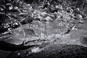 The World In Black And White 6" x 4" Photo Print