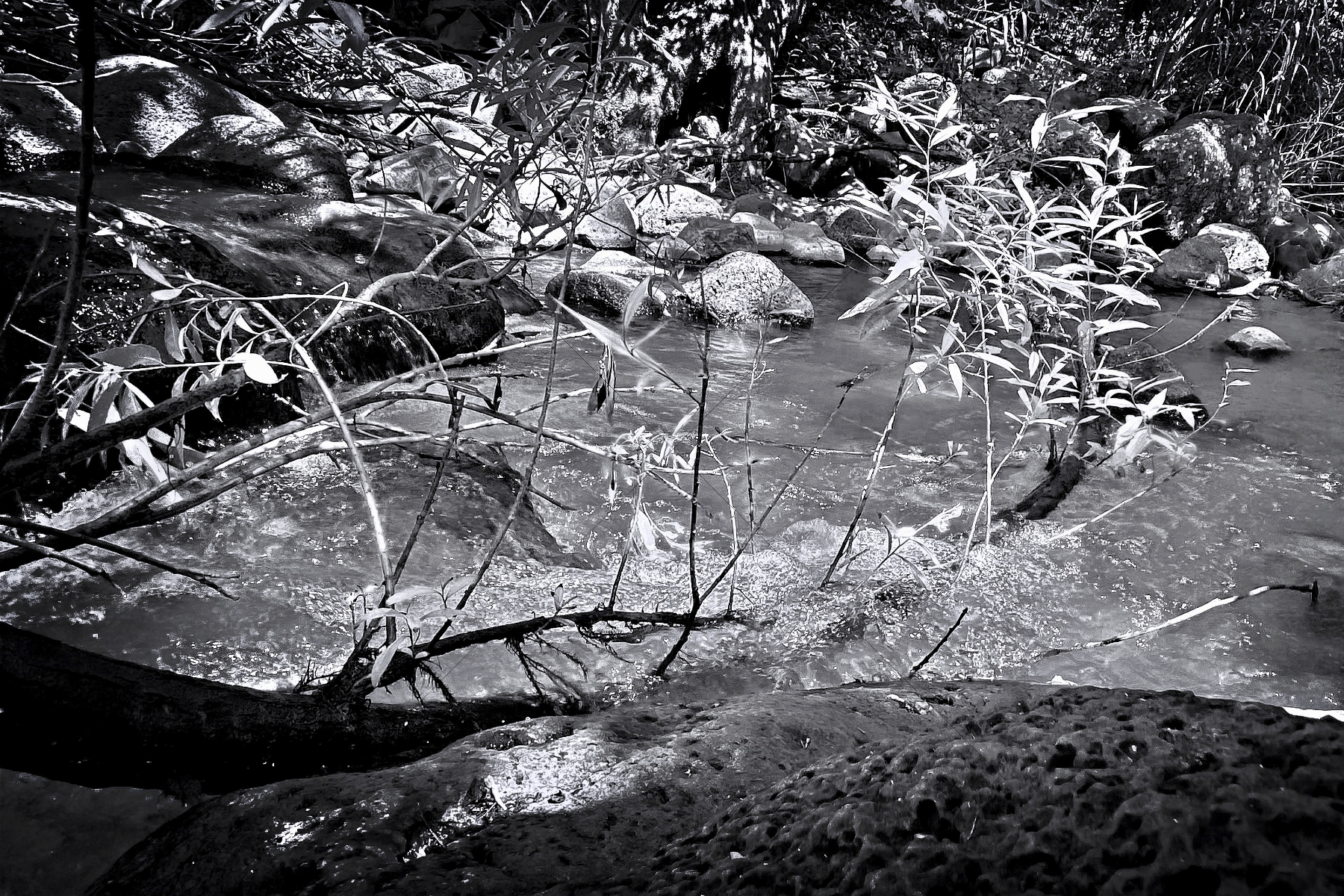 The World In Black And White 6" x 4" Photo Print