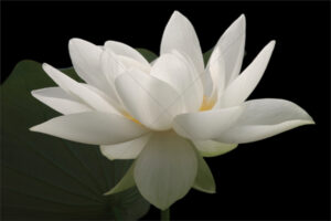 The World In Black And White 6" x 4" Photo Print