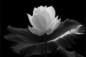 The World In Black And White 6" x 4" Photo Print